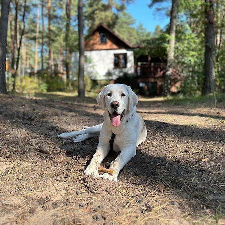 Masuria Warsaw Villa Skrzeszew ภายนอก รูปภาพ