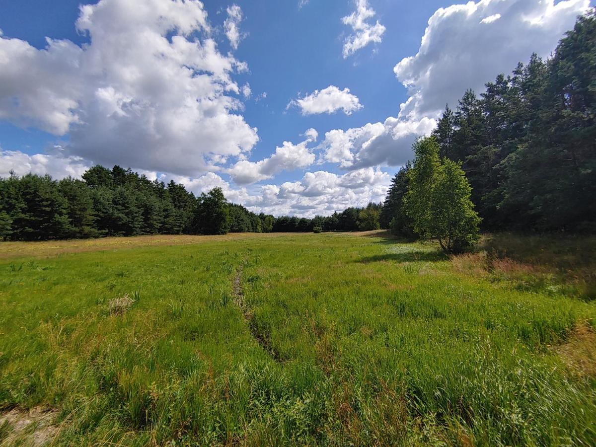 Masuria Warsaw Villa Skrzeszew ภายนอก รูปภาพ