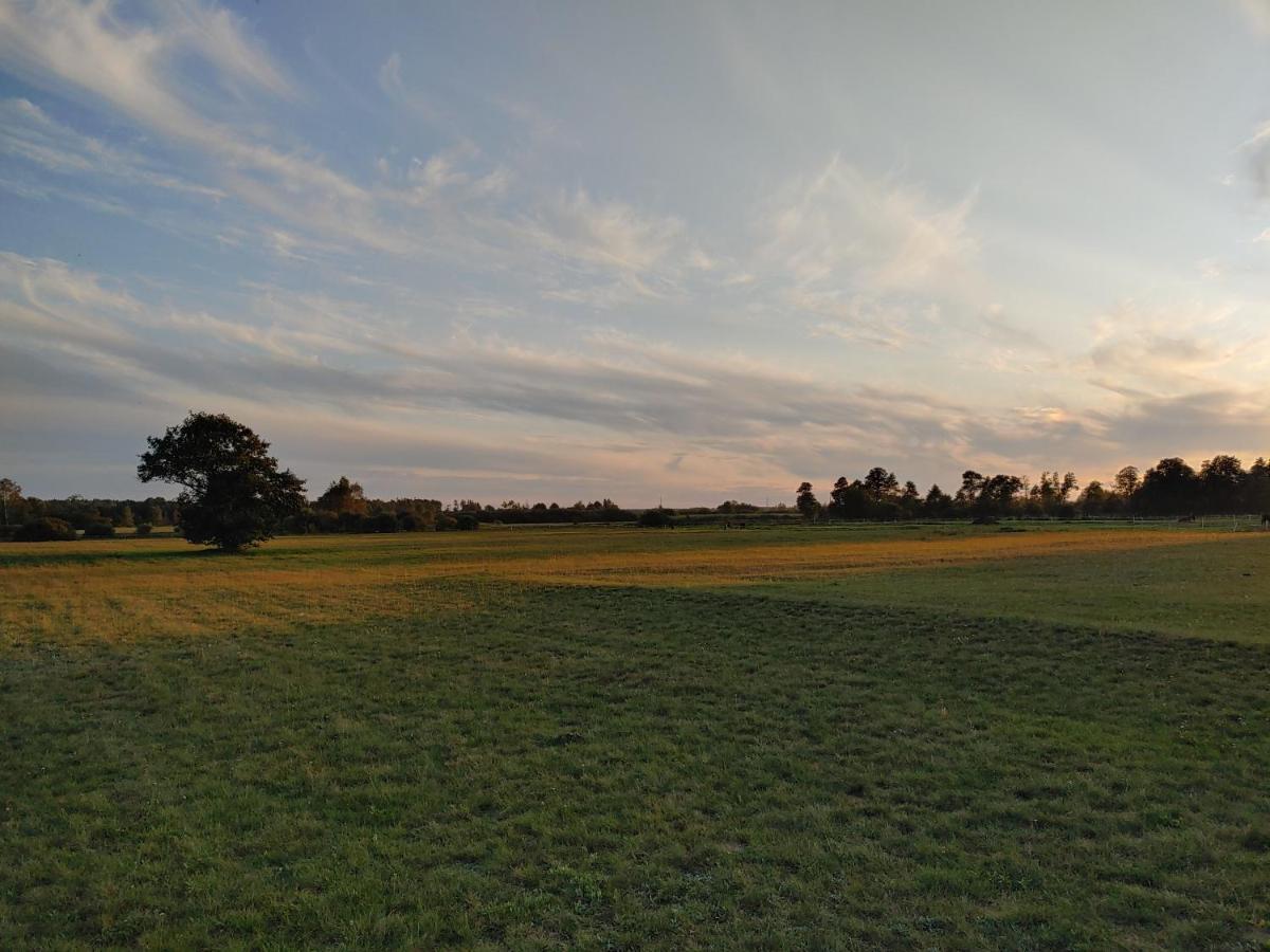 Masuria Warsaw Villa Skrzeszew ภายนอก รูปภาพ