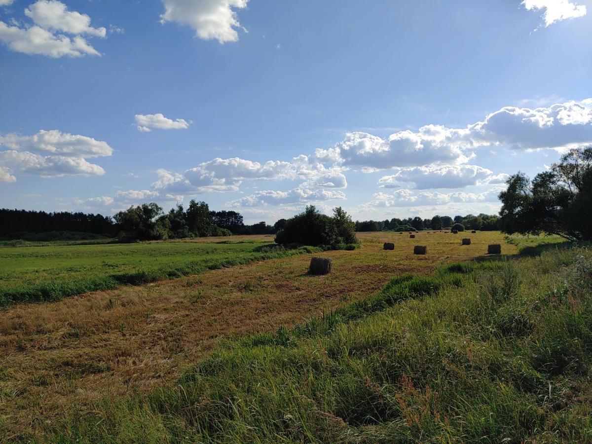 Masuria Warsaw Villa Skrzeszew ภายนอก รูปภาพ