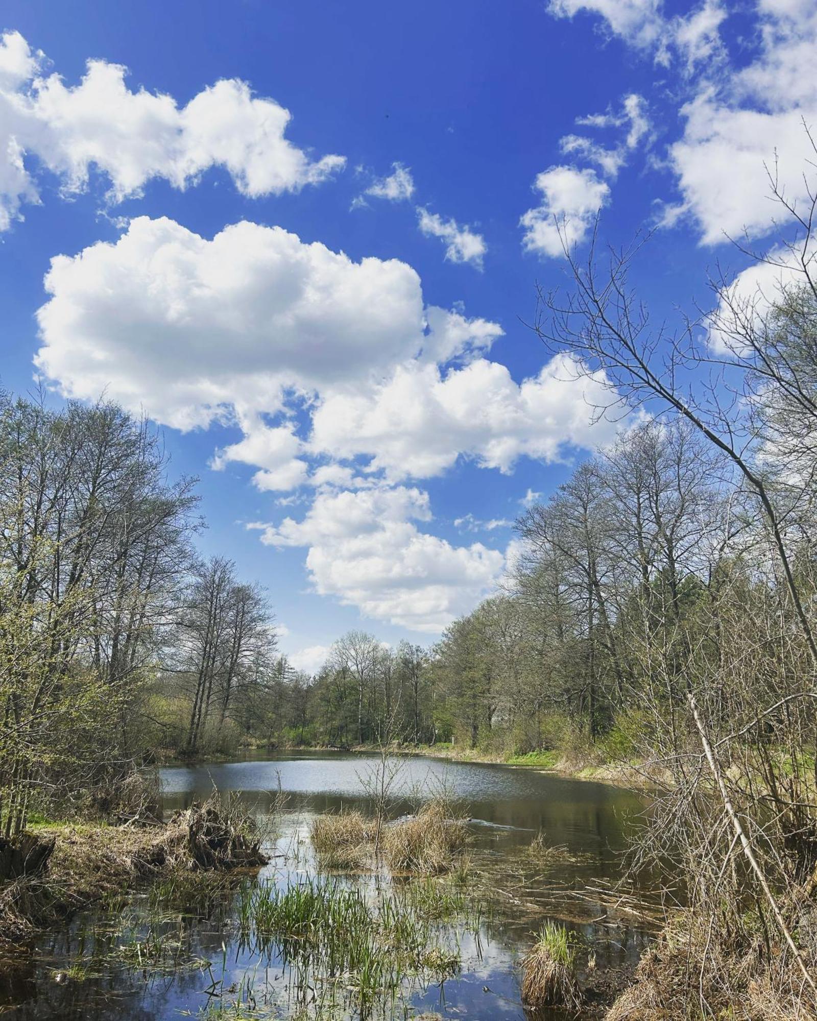 Masuria Warsaw Villa Skrzeszew ภายนอก รูปภาพ
