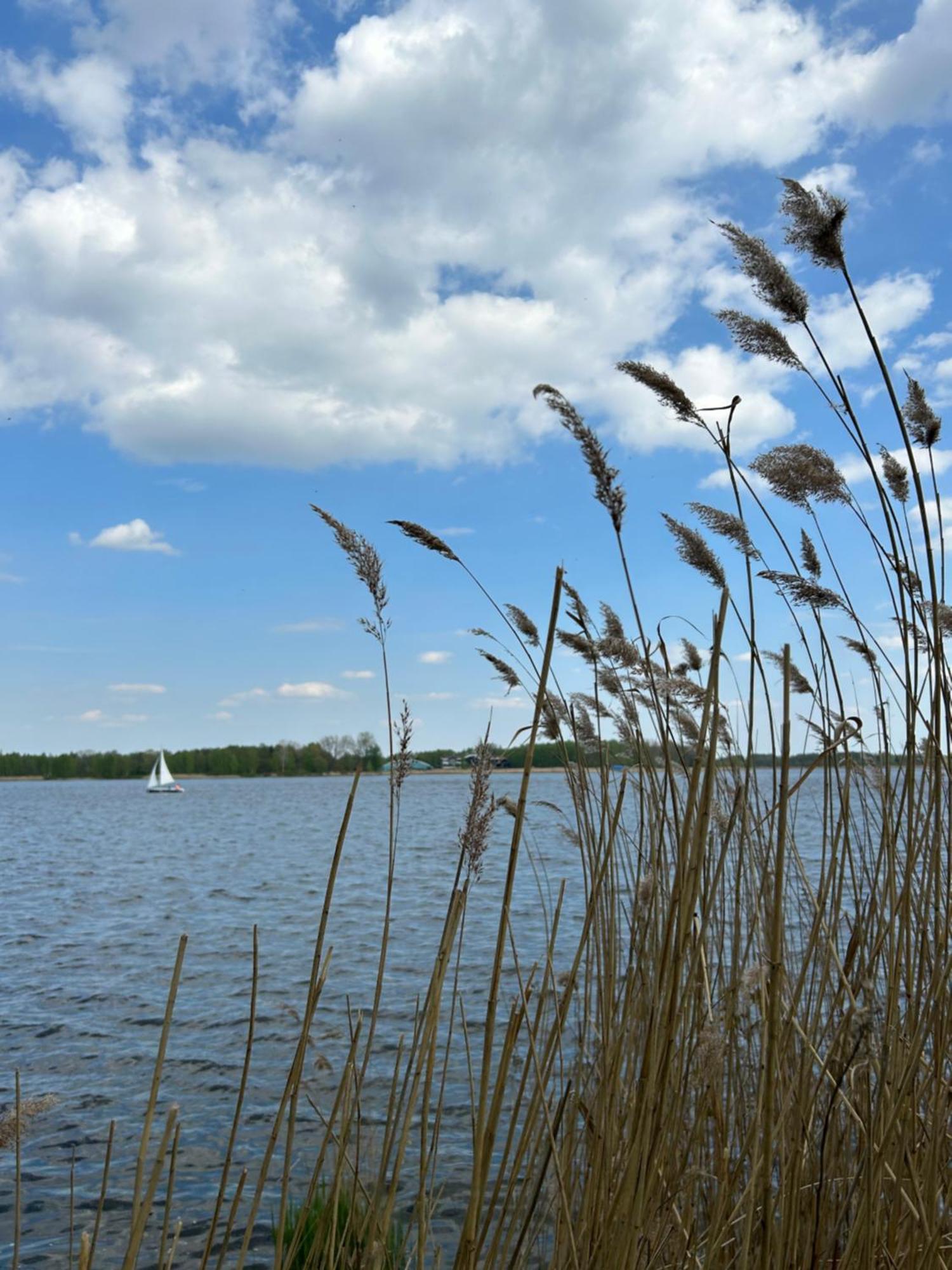 Masuria Warsaw Villa Skrzeszew ภายนอก รูปภาพ