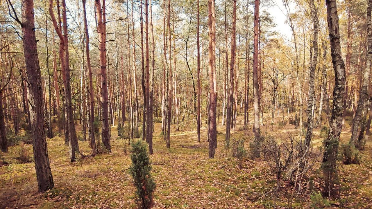 Masuria Warsaw Villa Skrzeszew ภายนอก รูปภาพ